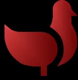 Pigeon Logo